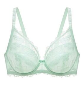 Understance Annette FlexWire Padded Plunge Lace Bra Aqua 40D